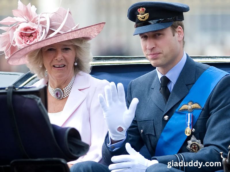 prince william